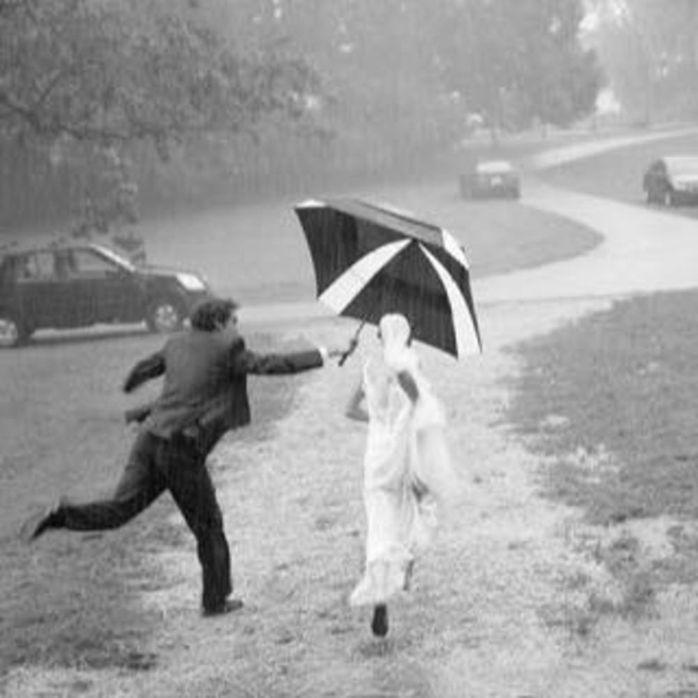 Meet your Posher, Allie